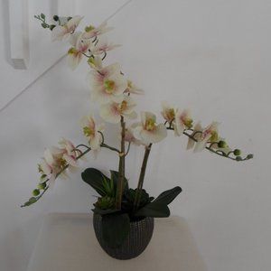 White Fabric Orchid Floral Arrangement